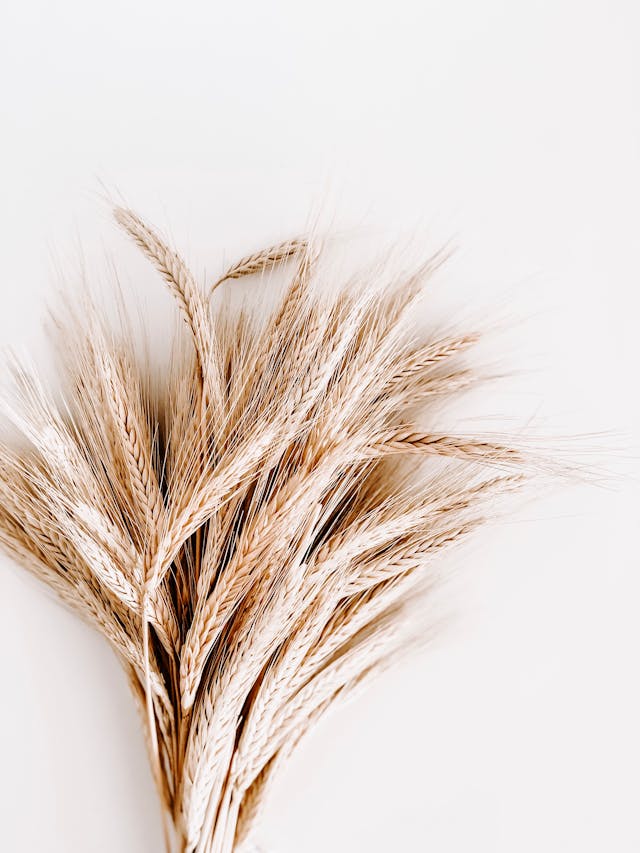 Celiac Disease and Gastrointestinal Surgery When Is Surgical Intervention Needed